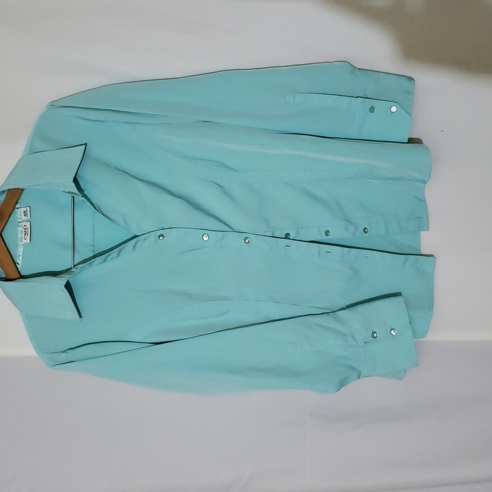 Woman's Long Sleeve Fitted Blouse with collar